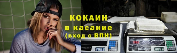 твердый Алексин