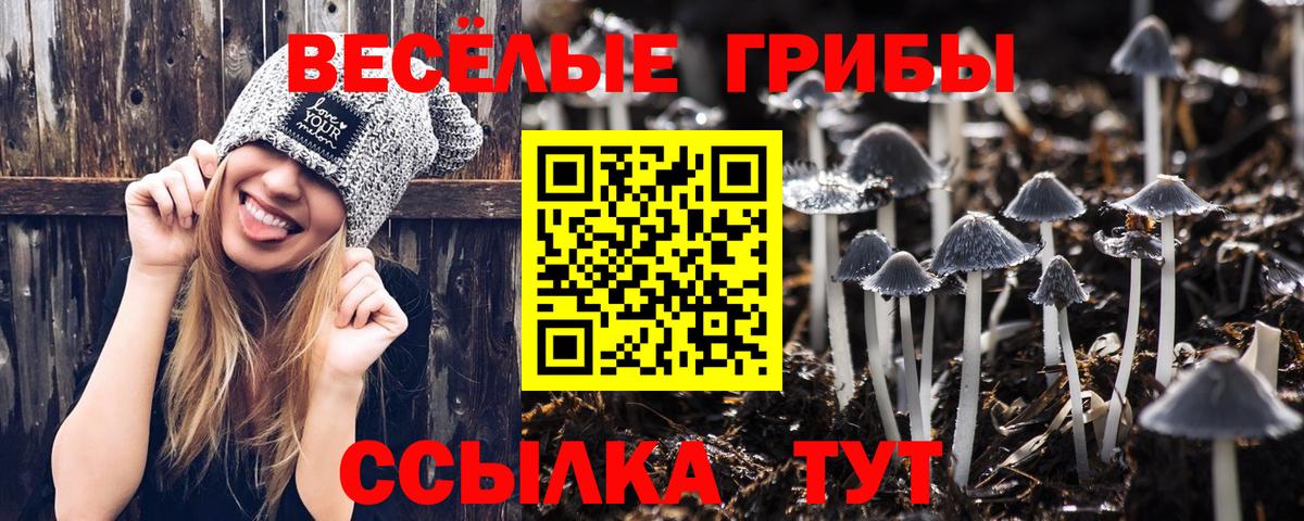 Псилоцибиновые грибы мицелий Петровск