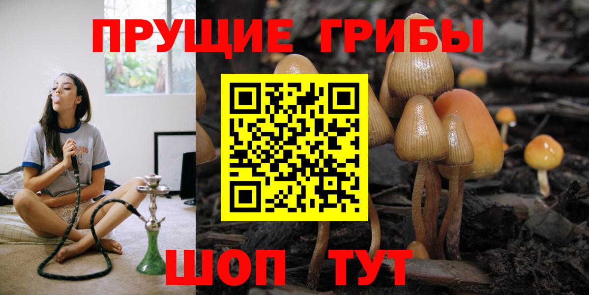 Псилоцибиновые грибы Magic Shrooms  Вход с VPN  Петровск 
