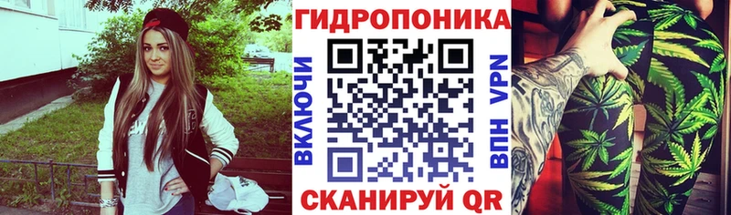 купить закладку  Петровск  Канабис конопля 